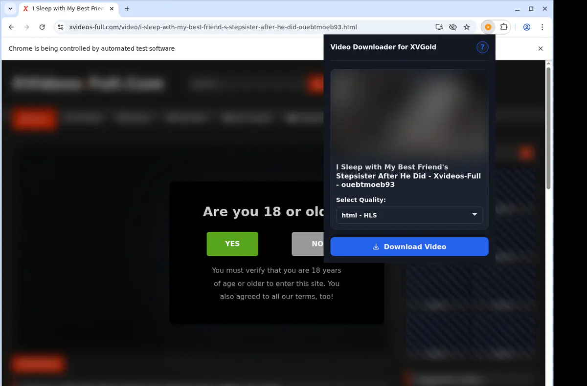 Xvgold Video Downloader screenshot 3
